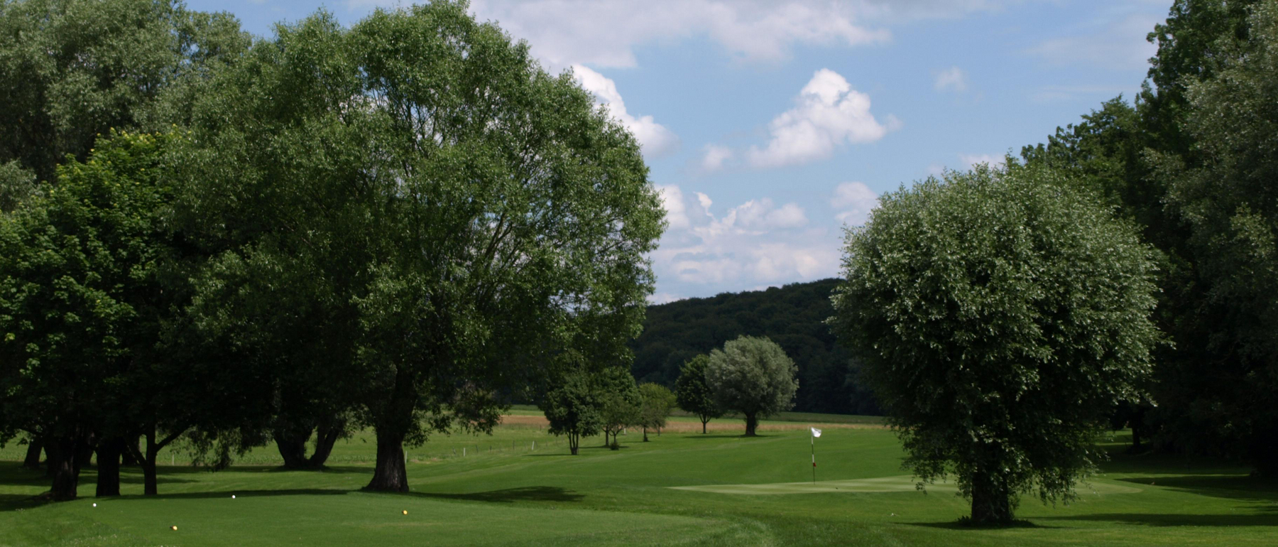 Golf and Country Club Basel: Platz
